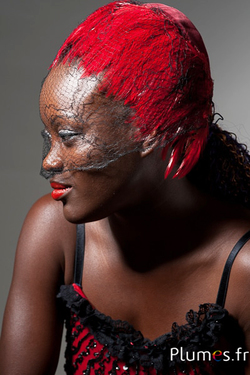 Coq - 8-12 cm - rouge
